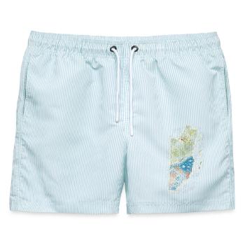 Belize Belizische Wurzel - Männer Badeshorts - hellblau gestreift - Vorne - AI Model Male 178 light (178cm)