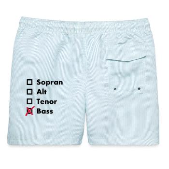 Bass - Männer Badeshorts - hellblau gestreift - Hinten - AI Model Male 178 light (178cm)