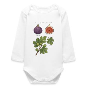 Planche Botanique Figuier Ficus Carica  - Body bébé manches longues biologique - blanc - Devant