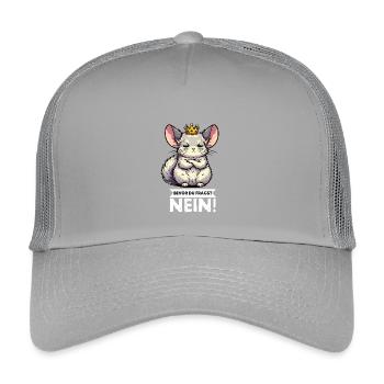Bevor Du Fragst Chinchilla Chinchillas Nagetier - Kinder Trucker-Cap - Hellgrau - Vorne