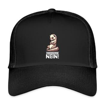 Before you ask No ferret ferret owner - Kids’ Trucker Cap - black/black - Front