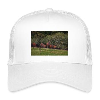 Troupeau de cerfs des prés 000_8271_Nik_DxO - Casquette trucker enfant - blanc - Devant