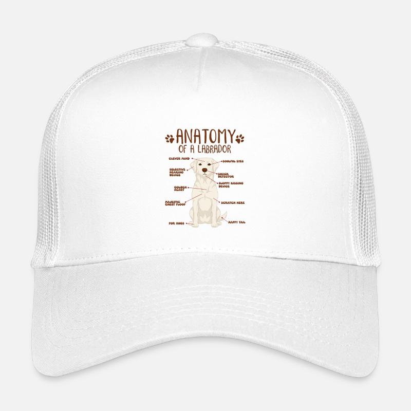 Anatomie d’un labrador blanc Casquette trucker enfant