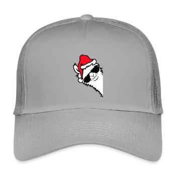 Llama Cool Lunettes de Soleil Père Noël Côté Chapeau - Casquette trucker enfant - gris clair - Devant