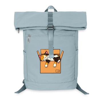 Cat sleeps in the box - Laptop Backpack - ice blue - Front
