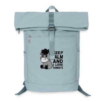 Donkey Love Saying Funny Gift - Laptop Backpack - ice blue - Front