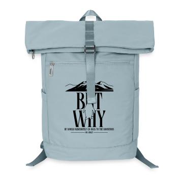 But Why Penguin Meme Minimalist Art - Laptop Backpack - ice blue - Front