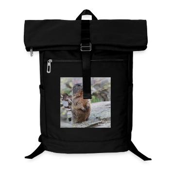 Murmeltier auf Wache 2 - Alpen Wildlife Motiv - Laptop-Rucksack  - Schwarz - Vorne