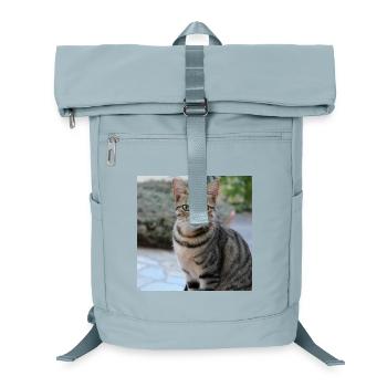 Cat Kitten Poster Square Cat Poster - Laptop Backpack - ice blue - Front