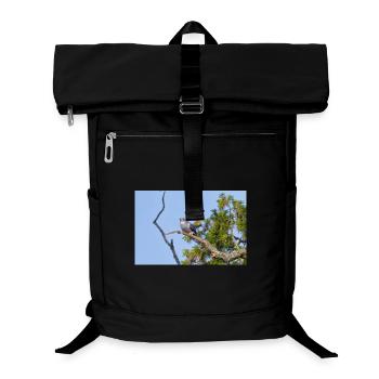 000_1522_NikDxO_cuckoo - Laptop Backpack - black - Front