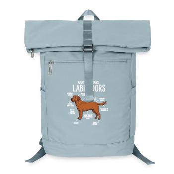 Anatomy of a Labrador – Fun Foxred Design - Laptop Backpack - ice blue - Front