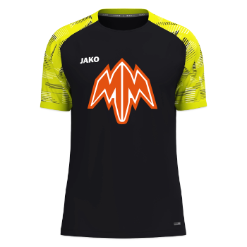 Pedstatt Logo 01 - JAKO T-Shirt Sonic