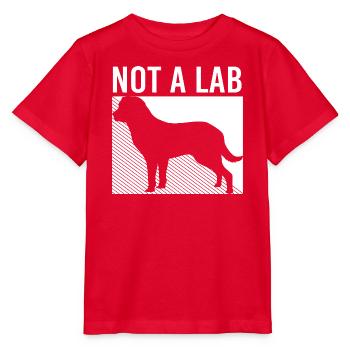 Chesapeake Bay Retriever - Stanley/Stella Kinder T-Shirt MINI CREATOR  - Rot - Vorne - Jaiden (125cm)