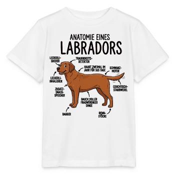Anatomie eines Labradors – Lustiges Hunde Design - Stanley/Stella Kinder T-Shirt MINI CREATOR  - Weiß - Vorne - Maike (125cm)