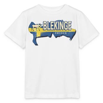 Blekinge in Schweden Retro Provinz mit Landkarte - Stanley/Stella Kinder T-Shirt MINI CREATOR  - Weiß - Vorne - Maike (125cm)