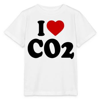I love co2 - T-shirt bio MINI CREATOR Stanley/Stella Enfant - blanc - Devant - Maike (125cm)