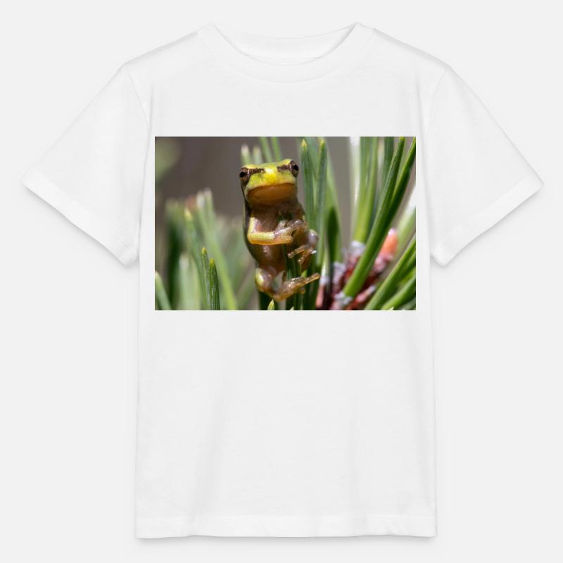 Rainette - T-shirt bio MINI CREATOR Stanley/Stella Enfant - blanc