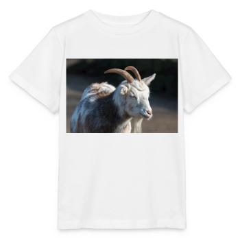 Zwergziege oder Zwergziege - Stanley/Stella Kinder T-Shirt MINI CREATOR  - Weiß - Vorne - Maike (125cm)