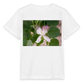 Kapernstrauch auch Flinders-Rose Capparis spinosa - Stanley/Stella Kinder T-Shirt MINI CREATOR  - Weiß - Vorne - Maike (125cm)