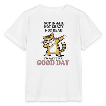 Not in Jail Not Crazy Not Dead Good Day - Stanley/Stella MINI CREATOR Kids’ T-Shirt - white - Front - Maike (125cm)
