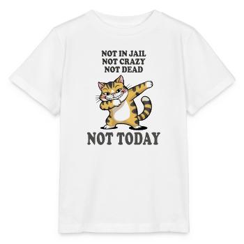 Nicht heute lustige Katze Sarkasmus Design - Stanley/Stella Kinder T-Shirt MINI CREATOR  - Weiß - Vorne - Maike (125cm)