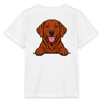 Foxred Labrador - Stanley/Stella Kinder T-Shirt MINI CREATOR  - Weiß - Vorne - Maike (125cm)