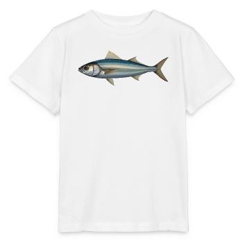 Azure Silver Fish Illustration - Stanley/Stella Kinder T-Shirt MINI CREATOR  - Weiß - Vorne - Maike (125cm)