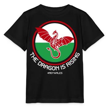 Le Dragon s’élève, Indy Wales - T-shirt bio MINI CREATOR Stanley/Stella Enfant - noir - Devant - Mikhail (115cm)