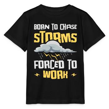 Storm Hunter Tornados Storm Chaser Cadeau - T-shirt bio MINI CREATOR Stanley/Stella Enfant - noir - Devant - Mikhail (115cm)