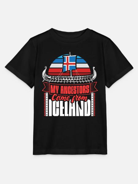 État d’Islande - T-shirt bio MINI CREATOR Stanley/Stella Enfant - noir