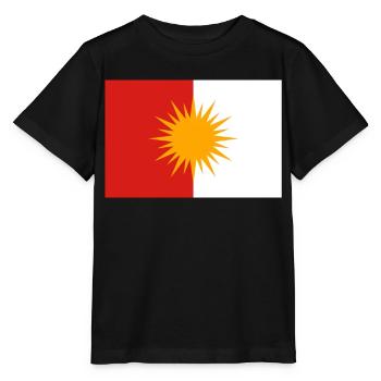 Drapeau ezidi drapeau ezidxan - T-shirt bio MINI CREATOR Stanley/Stella Enfant - noir - Devant - Mikhail (115cm)