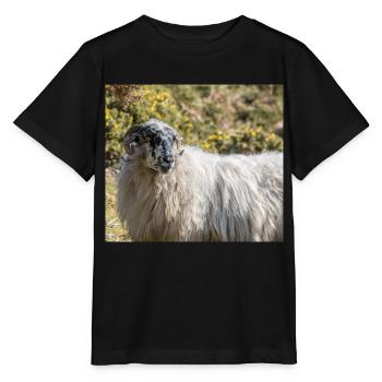 Mouton (en allemand Schaf) Ovis en Irlande - T-shirt bio MINI CREATOR Stanley/Stella Enfant - noir - Devant - Mikhail (115cm)