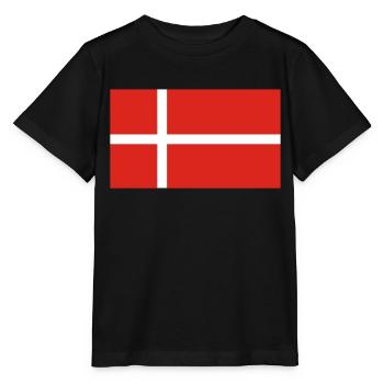 Dänemark - Stanley/Stella Kinder T-Shirt MINI CREATOR  - Schwarz - Vorne - Mikhail (115cm)