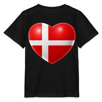 Herz (Danemark / Danemark) - T-shirt bio MINI CREATOR Stanley/Stella Enfant - noir - Devant - Mikhail (115cm)