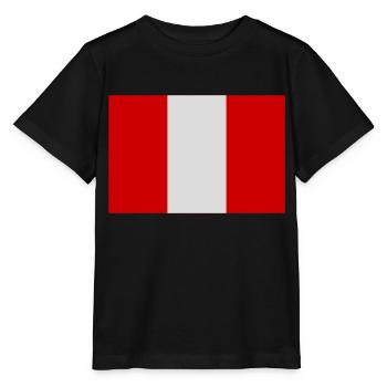 Pérou - T-shirt bio MINI CREATOR Stanley/Stella Enfant - noir - Devant - Mikhail (115cm)