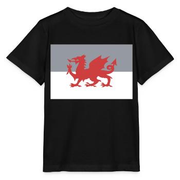 Wales - Stanley/Stella Kinder T-Shirt MINI CREATOR  - Schwarz - Vorne - Mikhail (115cm)