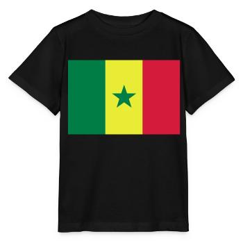 drapeau Sénégal - Senegal flag - T-shirt bio MINI CREATOR Stanley/Stella Enfant - noir - Devant - Mikhail (115cm)