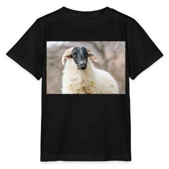 Schaf Ovis in Irland - Stanley/Stella Kinder T-Shirt MINI CREATOR  - Schwarz - Vorne - Mikhail (115cm)