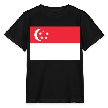 Singapour - T-shirt bio MINI CREATOR Stanley/Stella Enfant - noir - Devant - Mikhail (115cm)