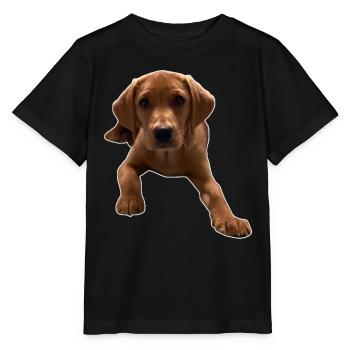 Vers le bas Dexter - T-shirt bio MINI CREATOR Stanley/Stella Enfant - noir - Devant - Mikhail (115cm)