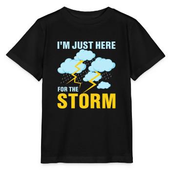 I'm Just Here For The Storm Meteorology Meteorolo - Stanley/Stella MINI CREATOR Kids’ T-Shirt - black - Front - Mikhail (115cm)