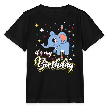 Carousel Birthday Party Elephant It’s My - T-shirt bio MINI CREATOR Stanley/Stella Enfant - noir - Devant - Mikhail (115cm)