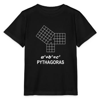 Jeu de Pythagore cadeau pour les profs de maths geek - T-shirt bio MINI CREATOR Stanley/Stella Enfant - noir - Devant - Mikhail (115cm)