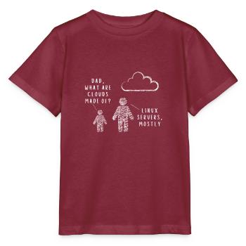 Dad, What Are Clouds Made Of? Programmer - Stanley/Stella MINI CREATOR Kids’ T-Shirt - burgundy - Front - Kain (125cm)