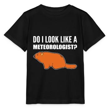 Look like meteorologist Sarcastic Person Gesch - Stanley/Stella MINI CREATOR Kids’ T-Shirt - black - Front - Mikhail (115cm)