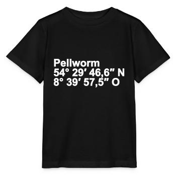 Pellworm Coordinates - Stanley/Stella MINI CREATOR Kids’ T-Shirt - black - Front - Mikhail (115cm)