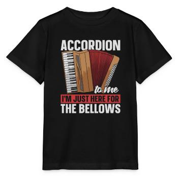 Akkordeon - Stanley/Stella Kinder T-Shirt MINI CREATOR  - Schwarz - Vorne - Mikhail (115cm)