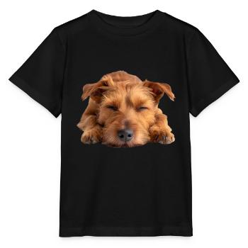 Irish Terrier - Stanley/Stella Kinder T-Shirt MINI CREATOR  - Schwarz - Vorne - Mikhail (115cm)