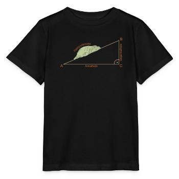 Hypoténuse Hippotenuse pour Math Hippo - T-shirt bio MINI CREATOR Stanley/Stella Enfant - noir - Devant - Mikhail (115cm)