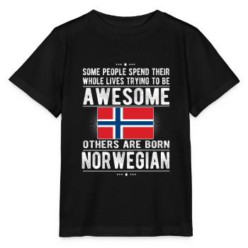 Norvège Norvégienne Drapeau Origine norvégienne - T-shirt bio MINI CREATOR Stanley/Stella Enfant - noir - Devant - Mikhail (115cm)